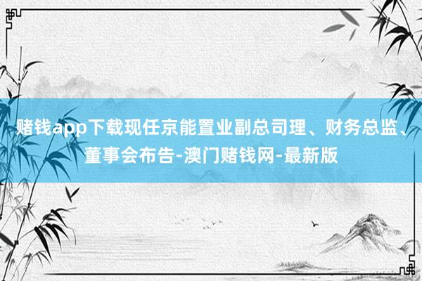 賭錢app下載現(xiàn)任京能置業(yè)副總司理、財務(wù)總監(jiān)、董事會布告-澳門賭錢網(wǎng)-最新版